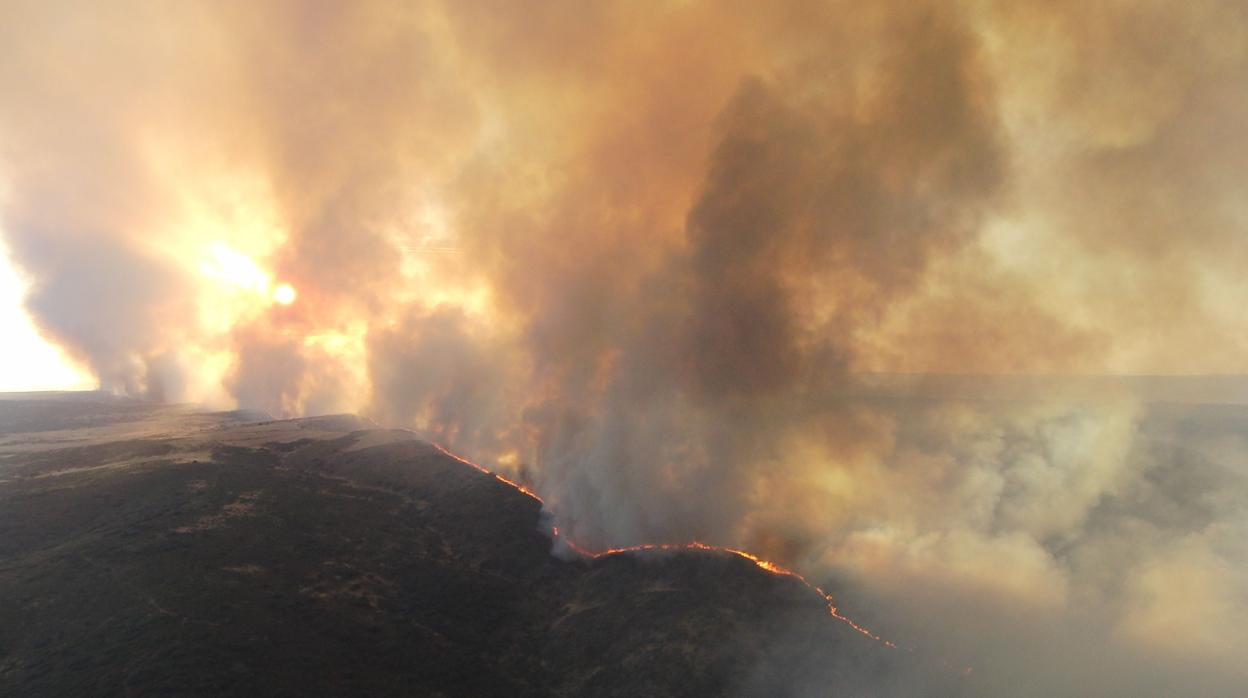 La ola de calor prevista para esta semana eleva el riesgo de incendios forestales