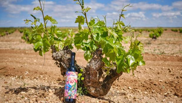 Los vinos de Toledo que se beben en el restaurante de Nadal