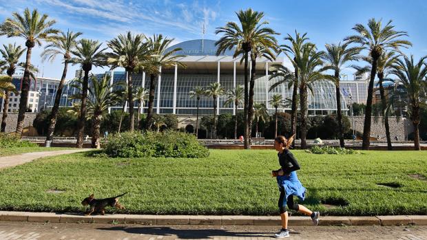 Se desprende parte del techo de la sala Rodrigo del Palau de la Música de Valencia