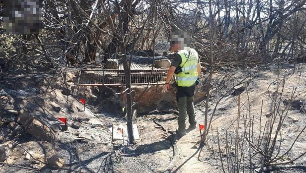 Las BIIF confirman que el fuego de Toledo pudo deberse a una bomba de riego