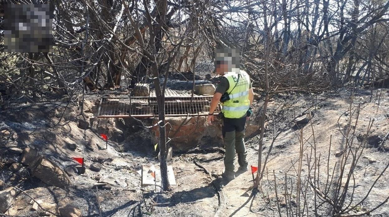 Un agente de la BIIF en el terreno del incendio