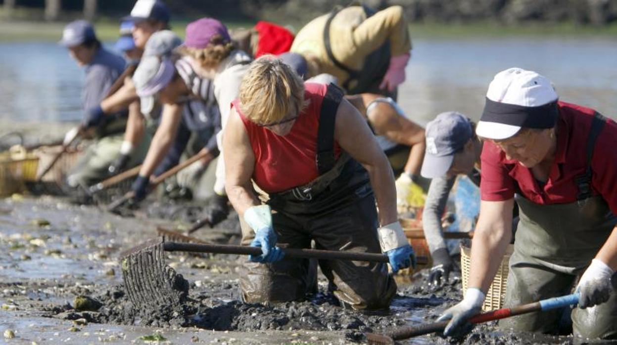 Mariscadoras en una ría gallega