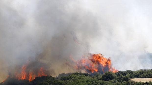 Calcinadas más de 130 hectáreas en dos incendios forestales en la provincia de Huesca