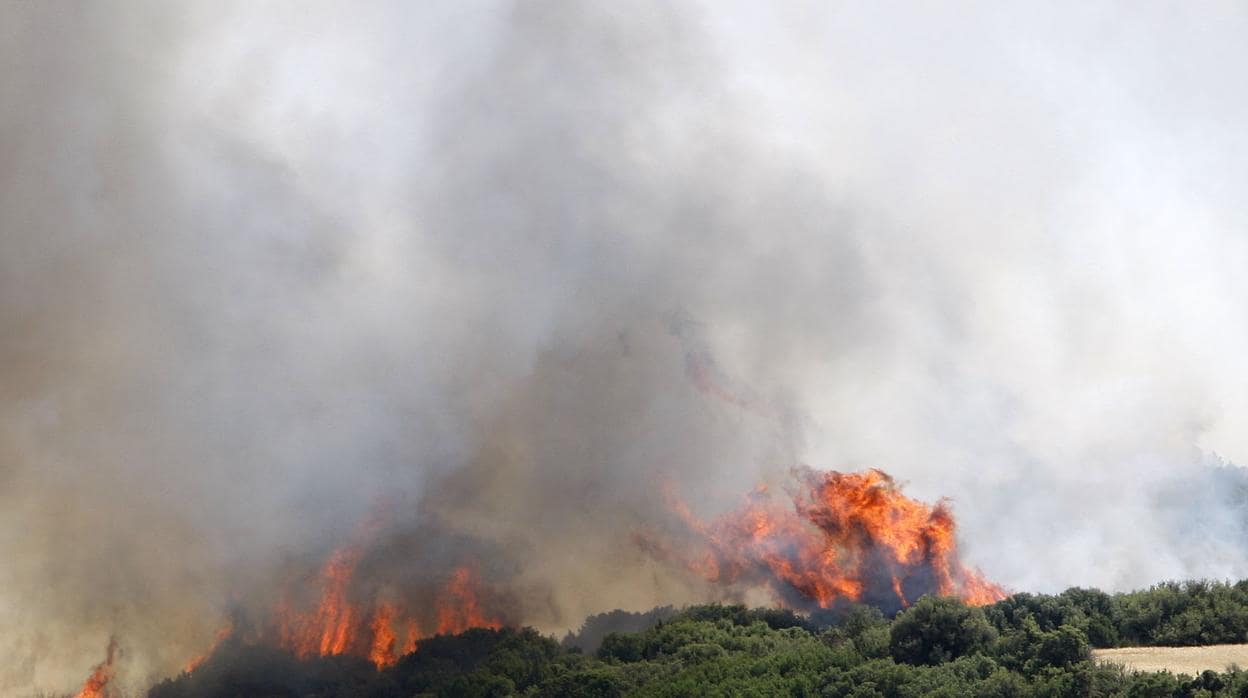 Estos incendios han calcinado tanto terrenos agrícolas como forestales