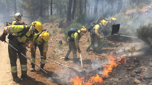 Llamadas a declarar cinco personas por el incendio de El Arenal (Ávila)