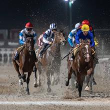 Carrera nocturna en el Hipódromo de la Zarzuela