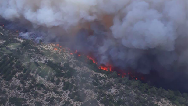 Un incendio forestal en Beneixama (Alicante) obliga a desalojar a 45 personas y arrasa 500 hectáreas