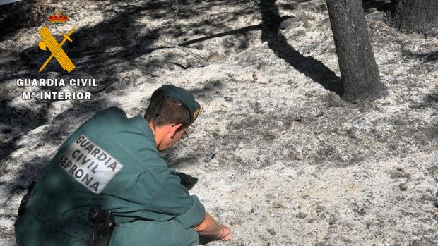 La Guardia Civil confirma que el incendio de Gavilanes fue provocado por un tendido eléctrico