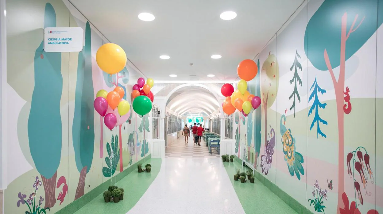 Pasillos decorados con plantas en el Hospital Niño Jesús