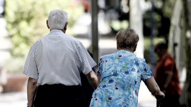 Dos jóvenes detenidos por robar a ancianos en sus casas haciéndose pasar por revisores de electricidad