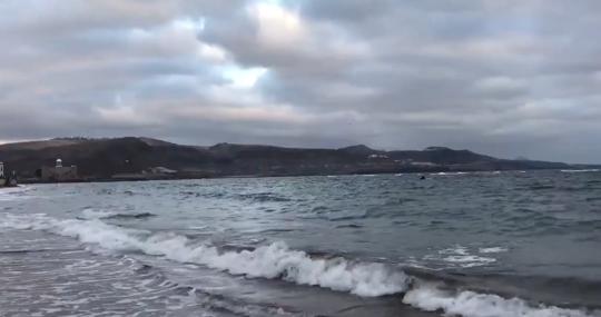 Playa de Las Canteras esta semana al amanecer