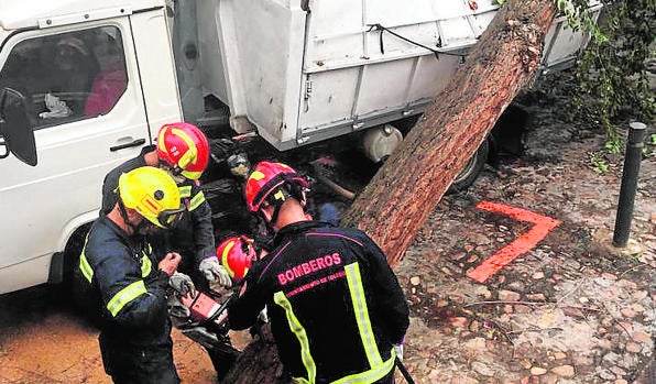 Árboles y ramas caídas a causa del fuerte viento y la lluvia