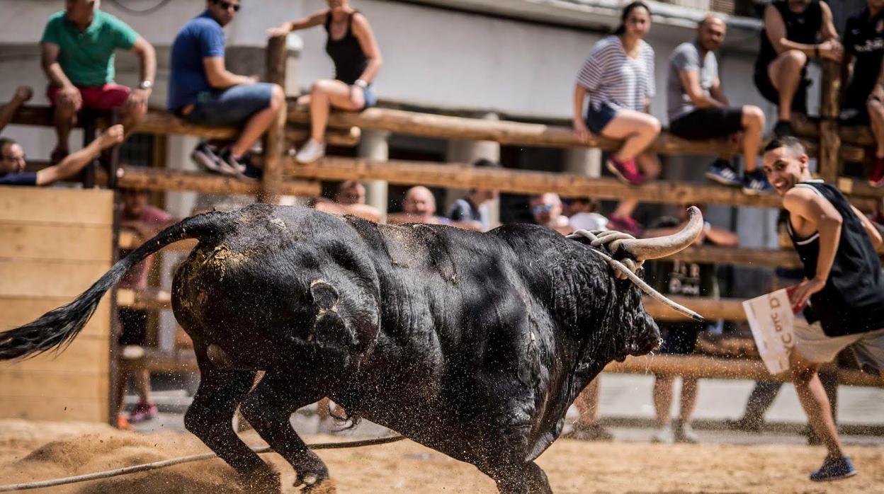 Despedida con percances en las vaquillas de La Puebla de Montalbán