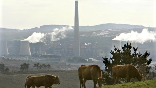 La central de As Pontes ve «complejo» retomar la producción de electricidad