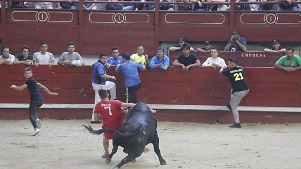 Leganés no tendrá toros ni encierros pese a ser obligatorio por contrato