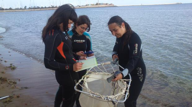 Preparan un mapa de los «puntos negros» de medusas en las playas como el de las carreteras