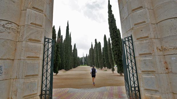 El pequeño cráneo hallado en unos jardines de Valencia corresponde a un mono