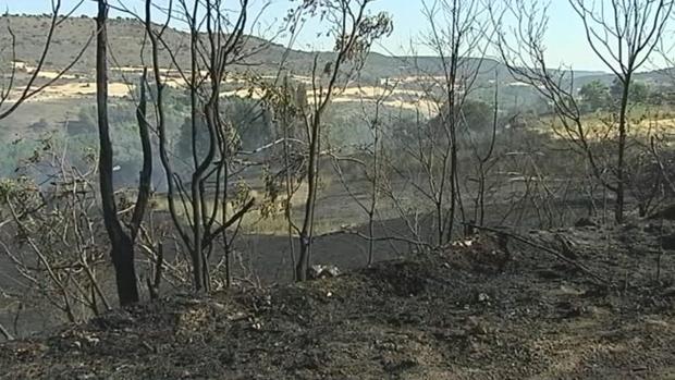 Controlado el fuego declarado este lunes en Brihuega