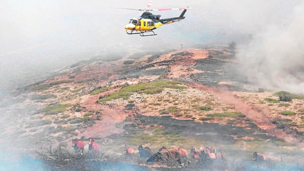 Evitar problemas de abastecimiento, «lo más urgente» tras el fuego de La Granja