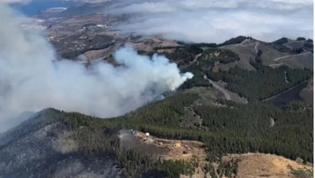El incendio de Canarias pone en jaque al Patrimonio Mundial de la Unesco