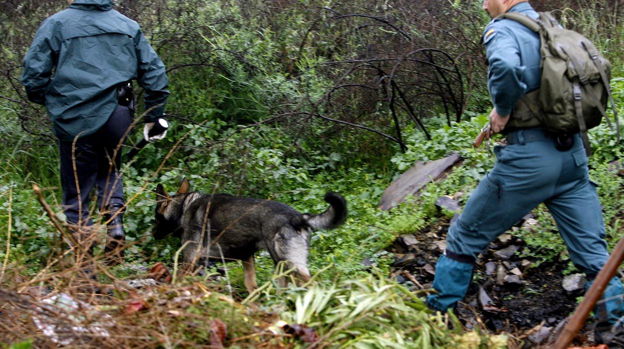 Agentes de la Guardia Civil durante un operativo de rastreo en busca de una persona desaparecida