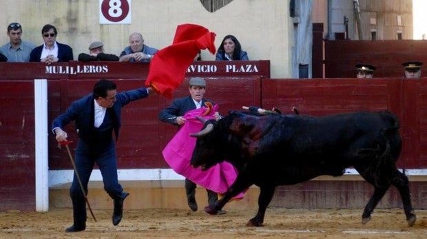 Alcalá se queda sin feria taurina por cuarto año