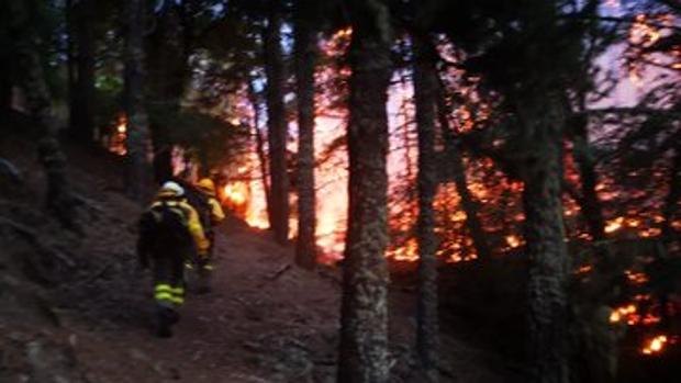 El incendio de Gran Canaria ya ha devorado 10.000 hectáreas y ha obligado a evacuar a unas 10.000 personas