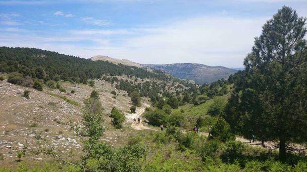 Rescatadas las jóvenes alojadas en un camping de Albacete que amanecieron en Jaén