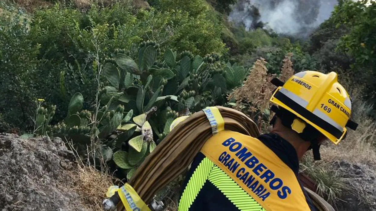 Incendio en Canarias: vídeo en directo