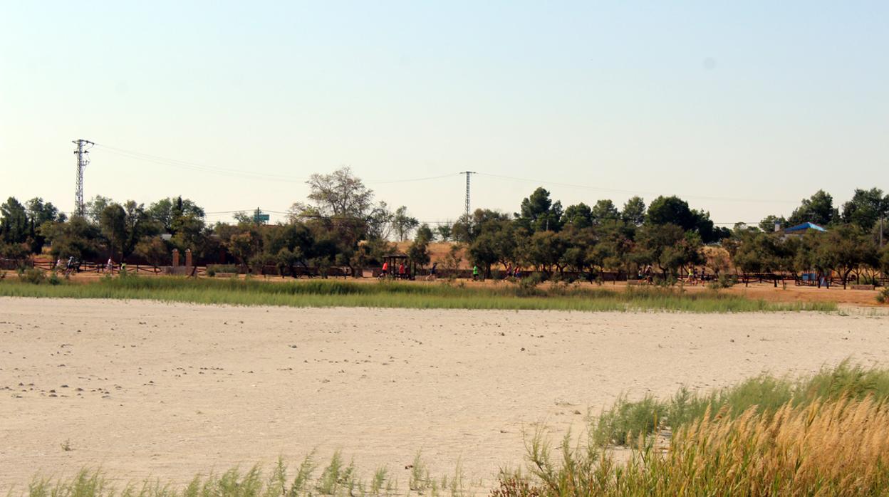 Estado en el que han quedado las lagunas de Villafranca de los Caballeros