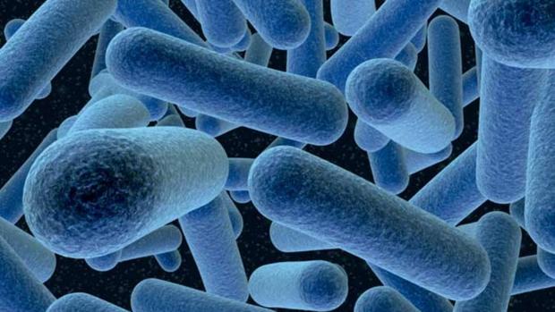 Cataluña estudia seis nuevos casos sospechosos de listeriosis