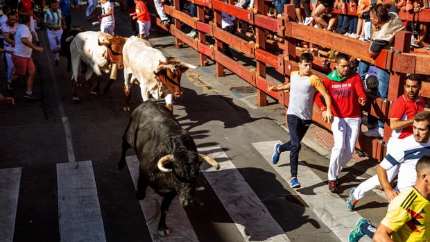 El tercer encierro de «Sanse», inusualmente largo: la carrera ha durado más de cinco minutos