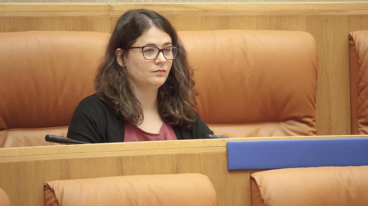 Raquel Romero Alonso, diputada de Podemos-Equo