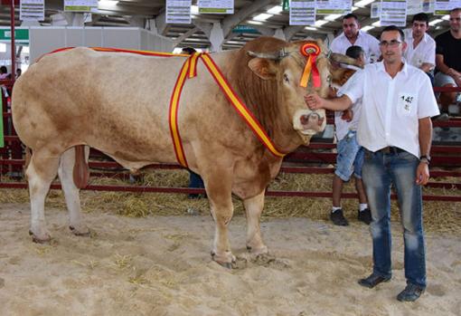 Imagen de archivo de la feria de 2018