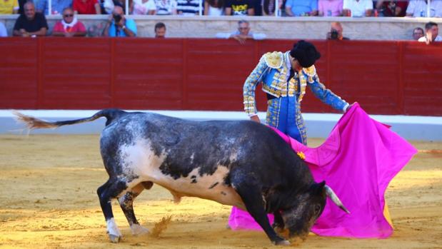 Excelente novillada de La Quinta, con codicia y bravura, en Villaseca de la Sagra