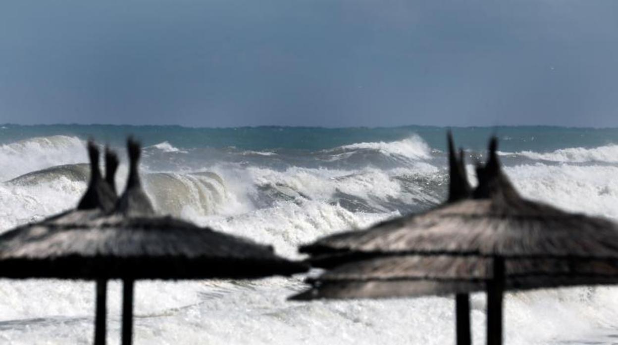 Efectos del temporal marítimo este miércoles en Dénia (Alicante)