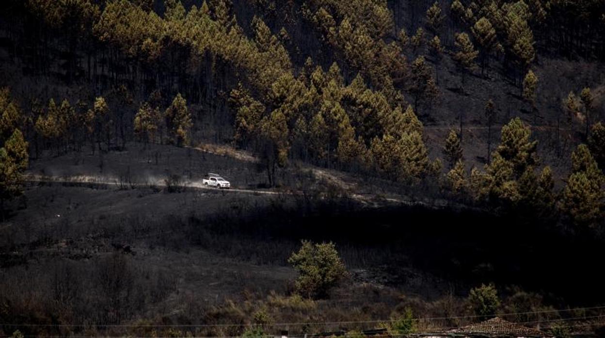 En A Gudiña, las llamas se acercaron peligrosamente a zonas pobladas