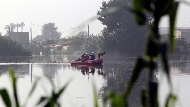 Hallan en un canal de Alicante al holandés desaparecido tras ser succionado por una acequia