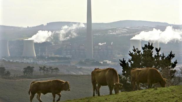 La Xunta endurece sus críticas al Gobierno por el parón de As Pontes