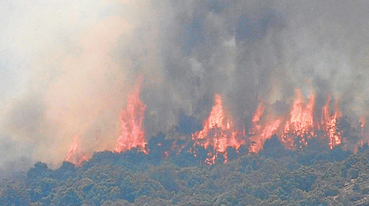 El monte en llamas durante el incendio de Cadalso de los Vidrios y Cenicientos