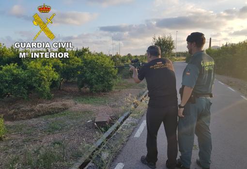 En imágenes: capturan a una res brava que se había escapado de un festejo taurino en Castellón