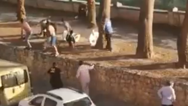 Los animalistas cargan contra un policía de Algemesí que «disparó veinte veces» a un toro huido de la plaza