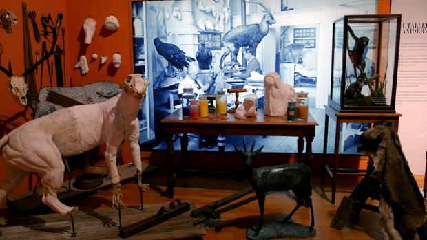 Los hermanos Benedito: historia del noble arte de recrear la naturaleza