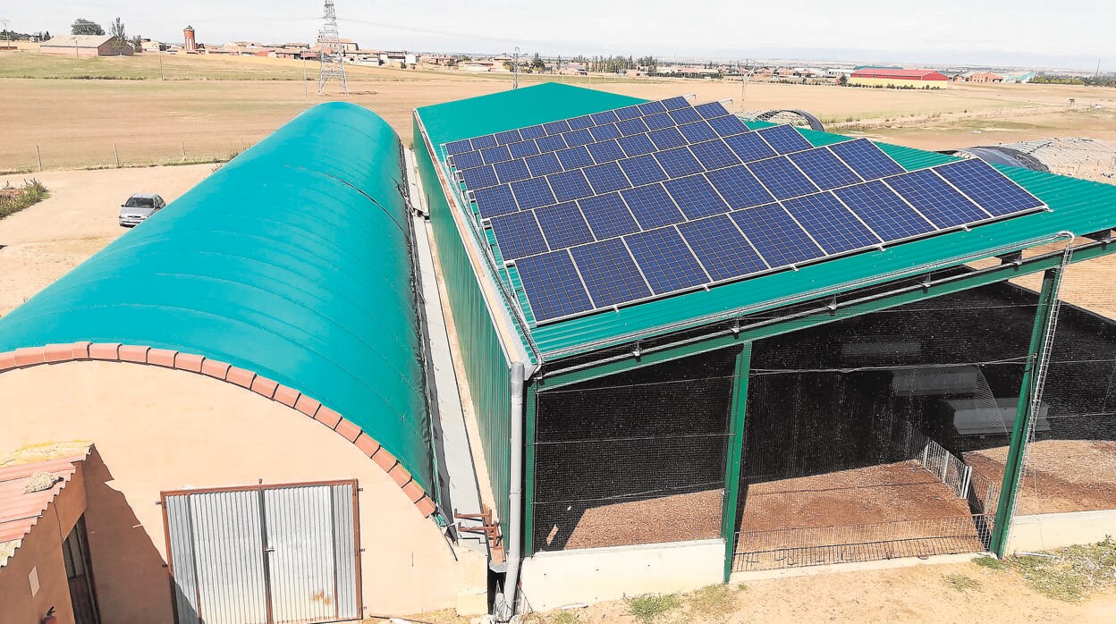Placas solares en una explotación de patos en Villamartín de Campos (Palencia)