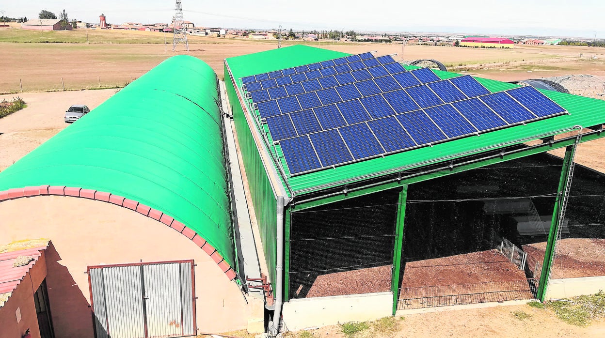 Placas solares en una explotación de patos en Villamartín de Campos (Palencia)