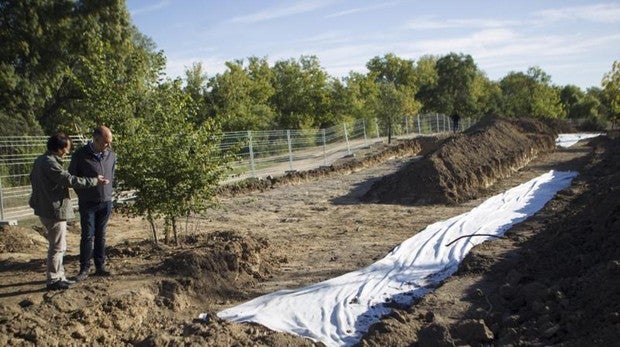 Hallado el suelo de una villa romana del siglo II en la Casa de Campo
