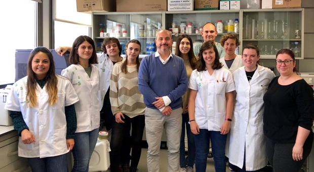 Investigadores castellanomanchegos descubren un posible tratamiento contra el cáncer de mama