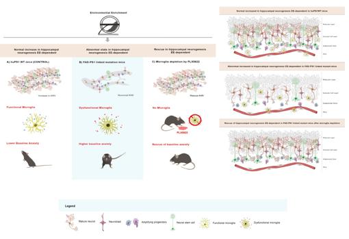 El cuadro refleja las investigaciones en ratones sobre el alzheimer