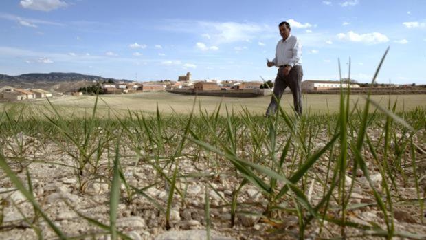 Castilla-La Mancha recibirá desde este miércoles 348 millones del adelanto de la PAC