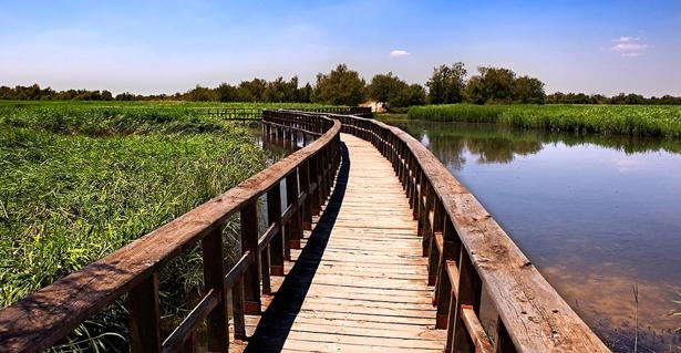 Las Tablas de Daimiel pide un trasvase de 20 hectómetros al Tajo-Segura